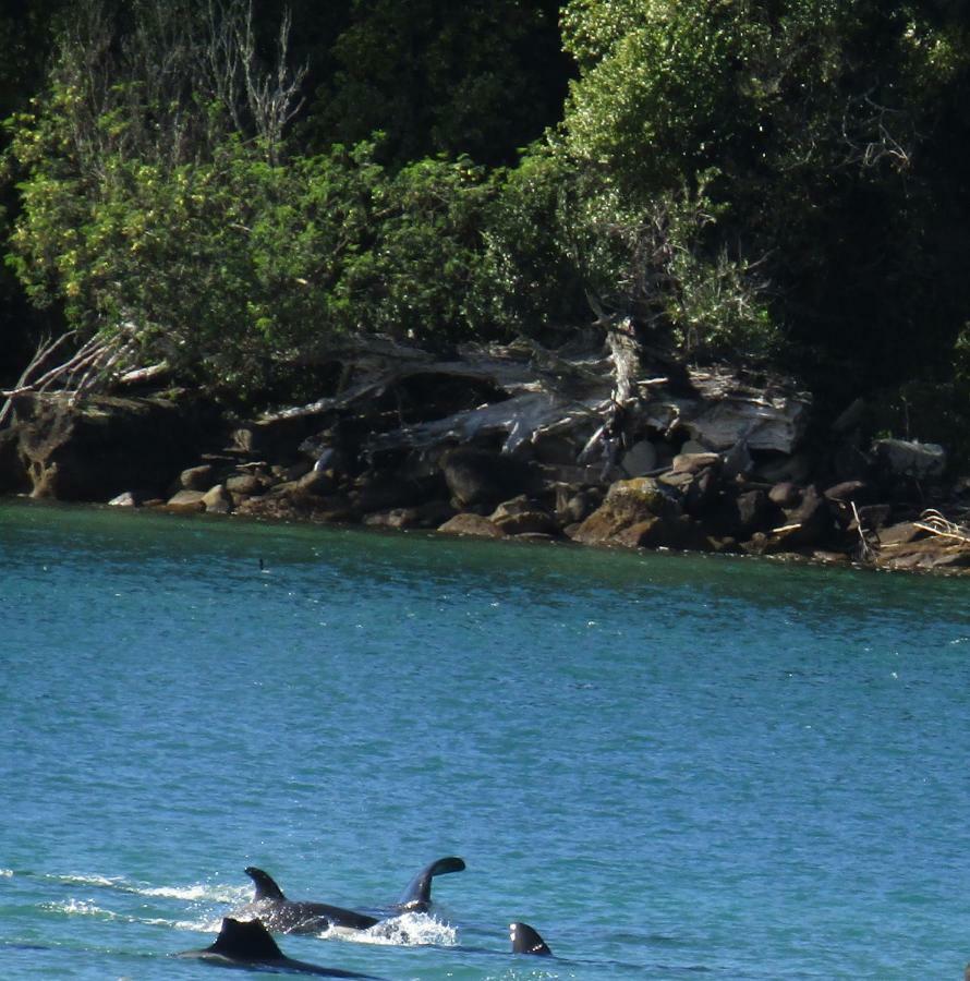 Anchorage Motel Whitianga Εξωτερικό φωτογραφία